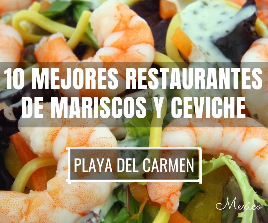 10 Restaurantes en Playa del Carmen Que Sirven los Mejores Mariscos