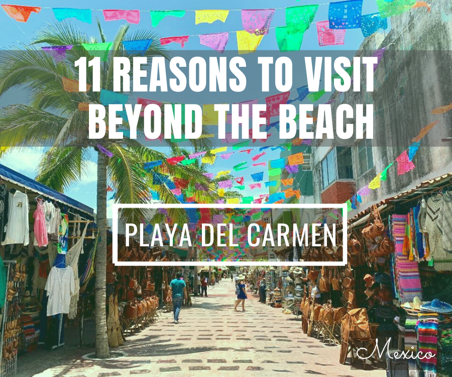 11 Reasons To Visit Playa del Carmen Beyond Its Breathtaking Beaches