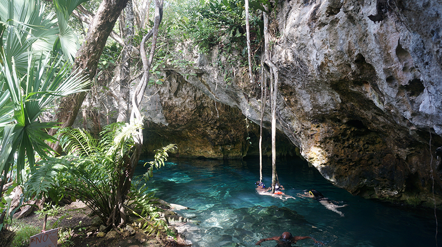 https://www.bricrental.com/wp-content/uploads/2021/06/Gran-Cenote-Riviera-Maya.jpg
