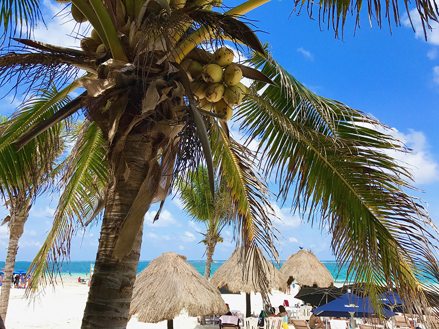 Puerto Morelos, Riviera Maya, Mexico