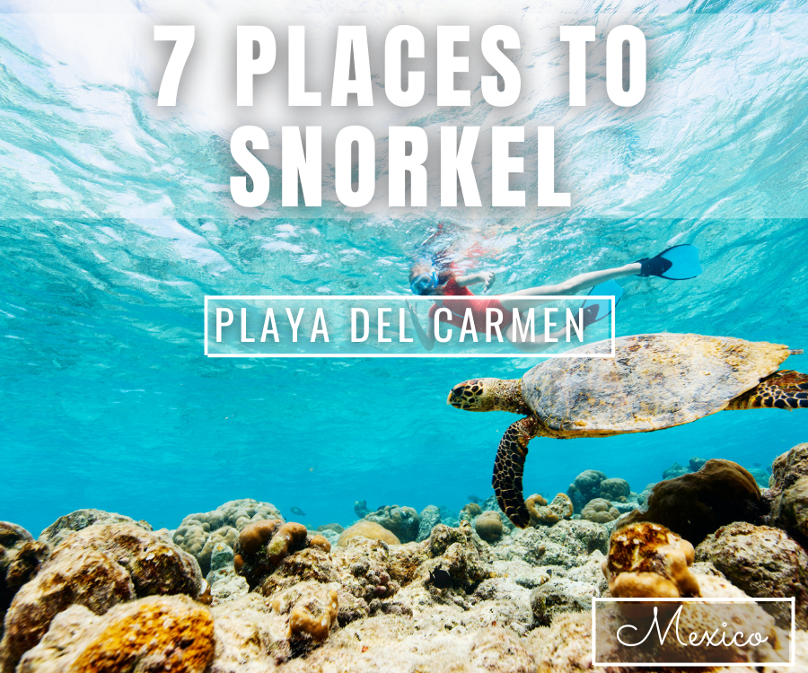 Snorkel Sites Near Playa del Carmen, Mexico