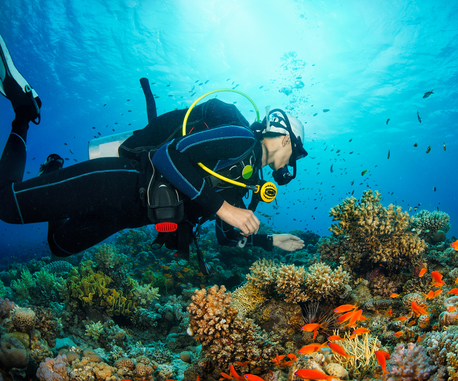 Scuba Diving in Playa del Carmen, Mexico